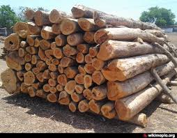 Timber Merchants